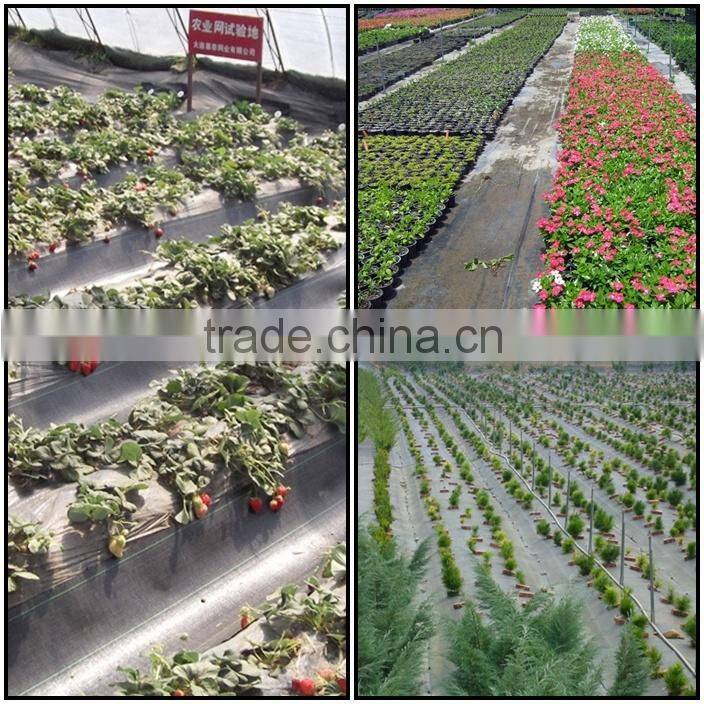 PP Garden Ground Cover anti weed mat ,China Cheap agriculture Weed control mat