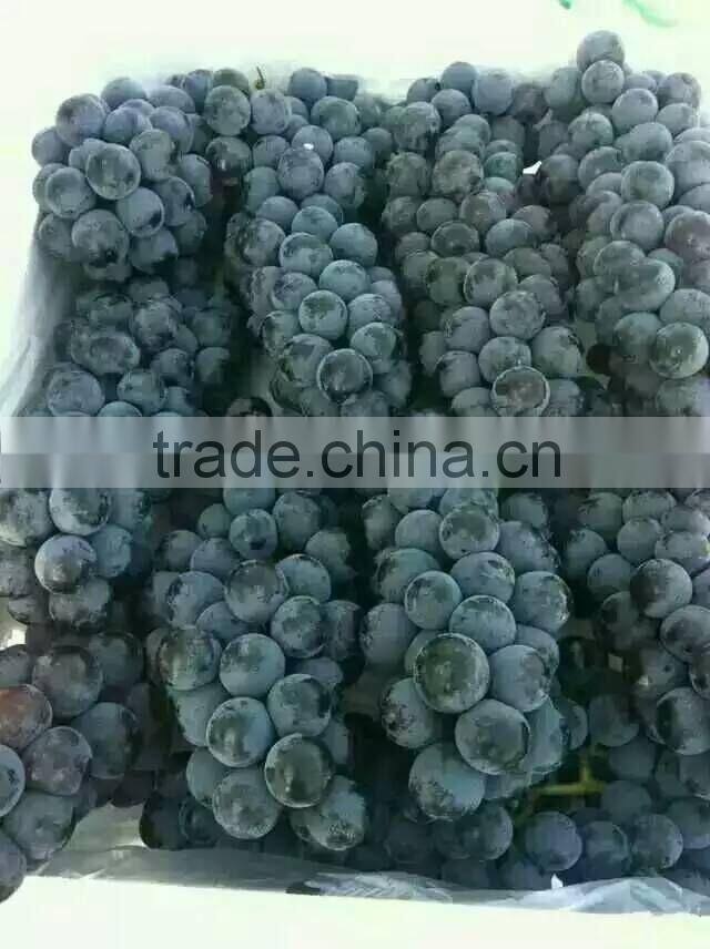 Chinese Fresh Black Globe Grape