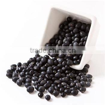 black bean powder/black bean powder water concetrate powder in tianhong factory