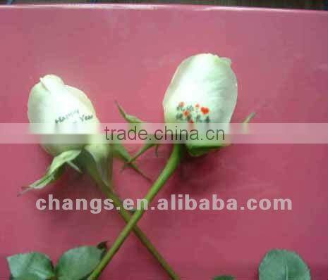 BYH Automatic cumputer controlled Flatbed Printer