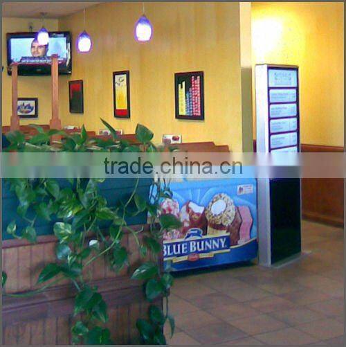 42 Inch Plug&play Digital Signage System