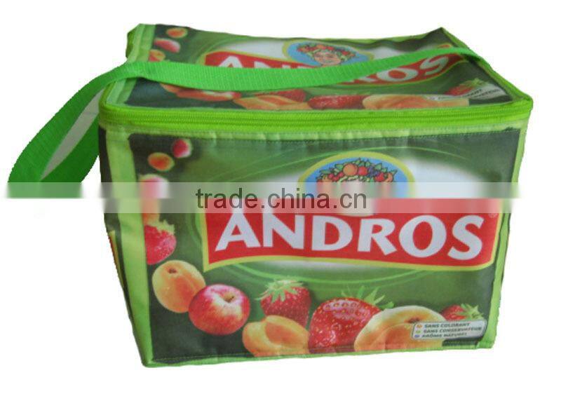 Promotional waterproof lunch bag