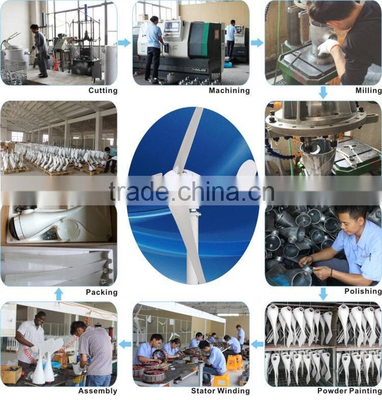 chinese 200w micro wind generator for home