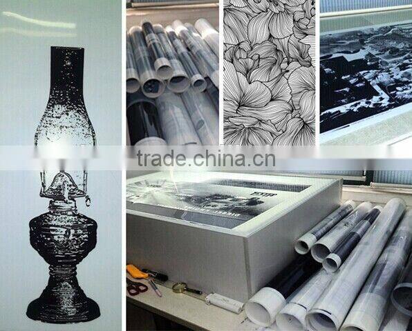 economical film output machine for printing plate