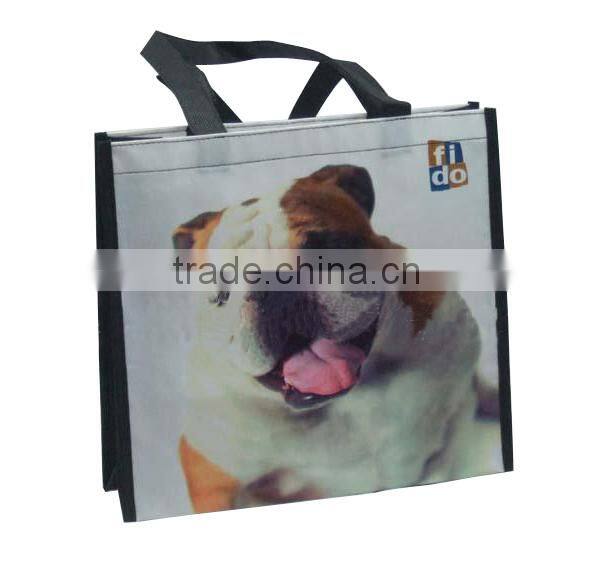 Sell High Quality non-woven shopping bag/PP bag/wenzhou/cangnan