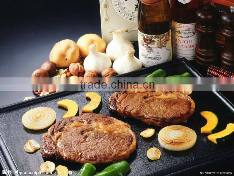 Stainless Steel & Cast Iron Electric Griddle