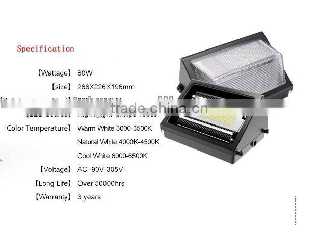 China top ten manufacturer of LED wall light 80W