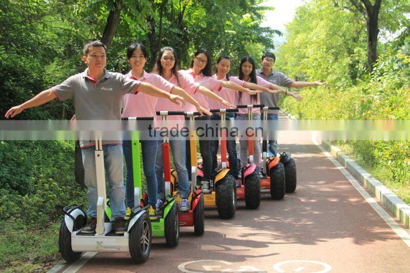 2 Wheel Self- balance City Model Scooter 36 V/72 V 35 Degree Climb 17 inch Tire