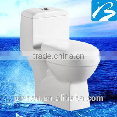 Western Style Toilet