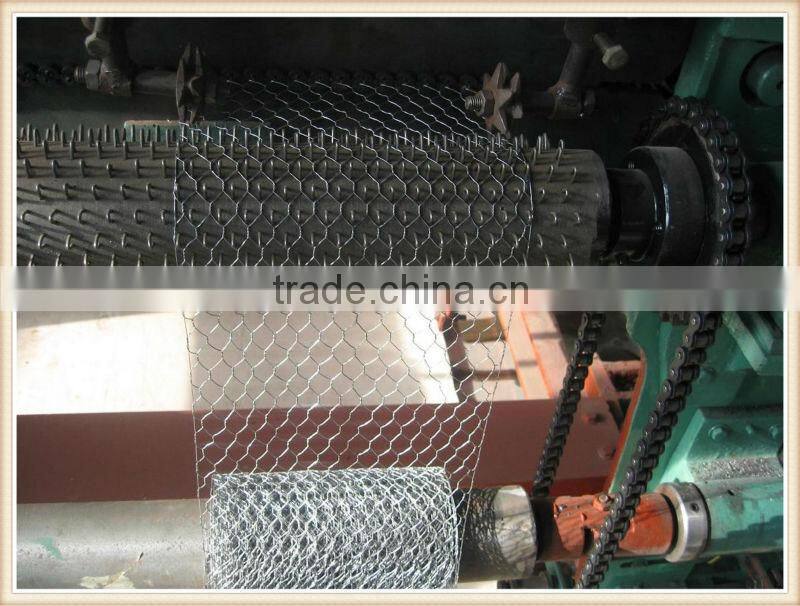 Galvanized Hexagonal Wire Mesh Chicken Wire Mesh