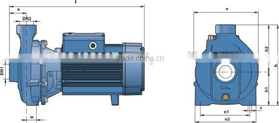 Closed-coupled Centrifugal Pump with Threaded Ports CP220A