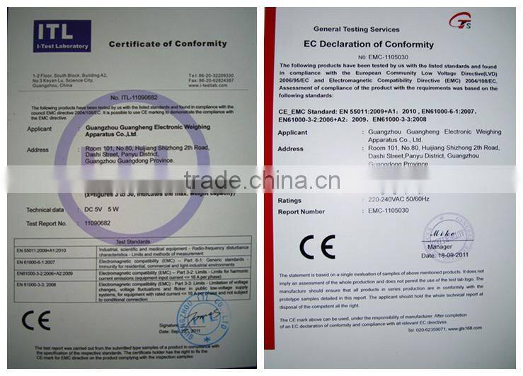 100kg Digital Weighing Platform Scale/ best sell in malaysia platfrom scale