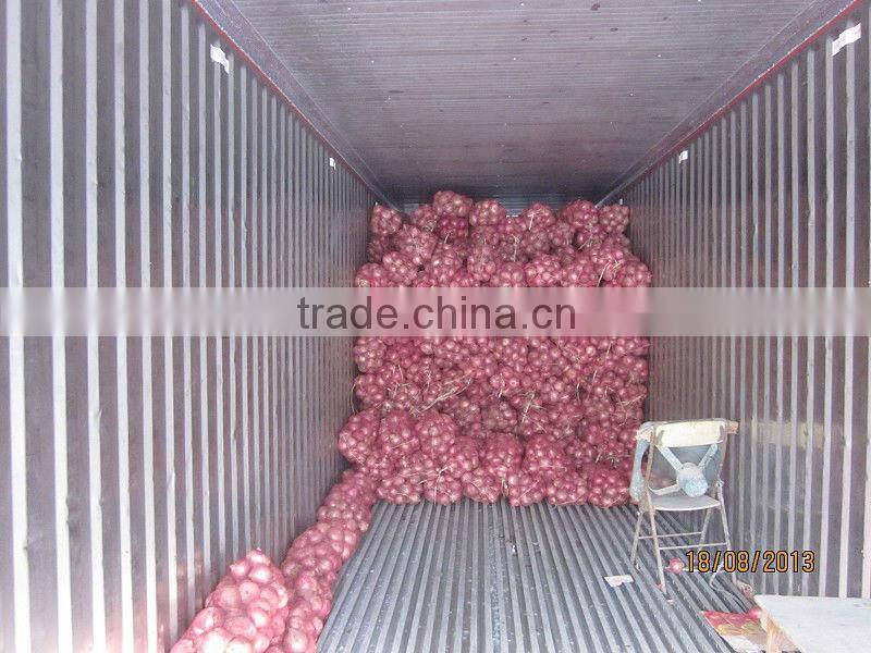 fresh onion