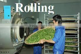 High Quality from Teaparis Vietnam Green Tea Super Pekoe