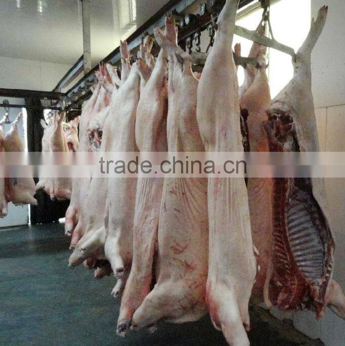 pig dehairing machine /pig slaughter machine /pig hair removal machine