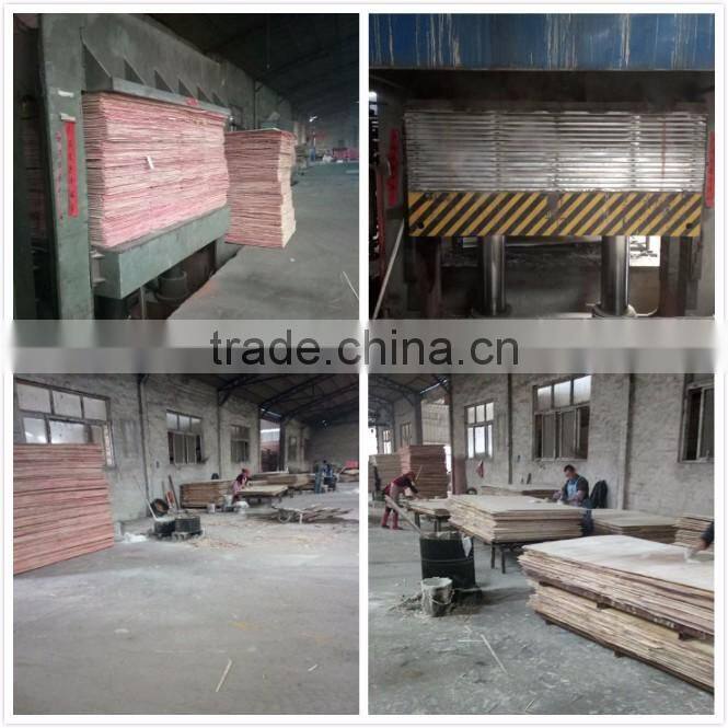 Factory-directly and made in china commercial plywood for sale