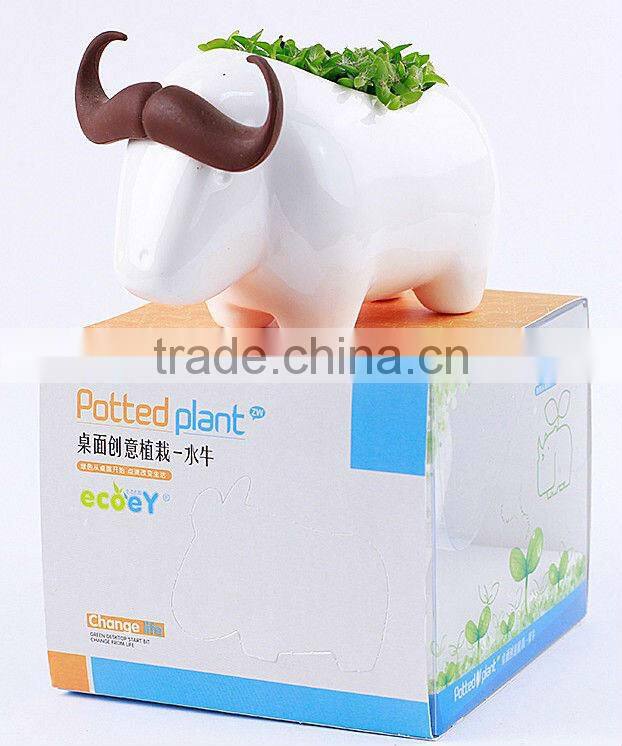 Supply fashion Creative animal plant - elephant