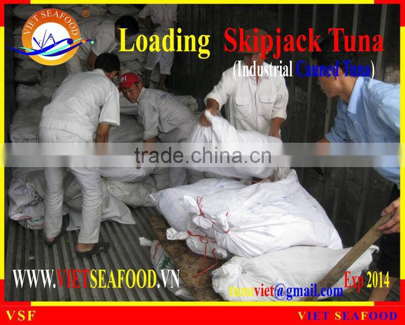 LOADING SKIPJACK TUNA