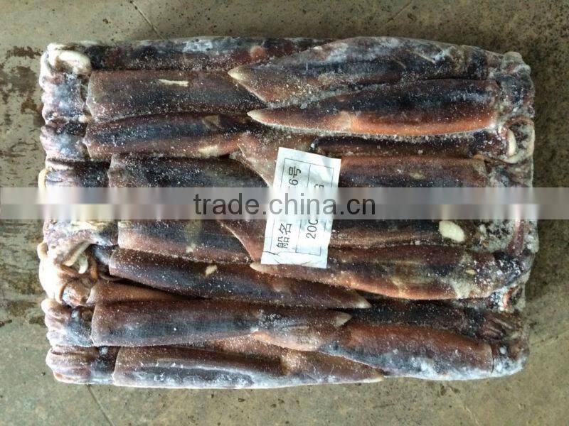 Best Price Illex Squid(Illex Argentinus)