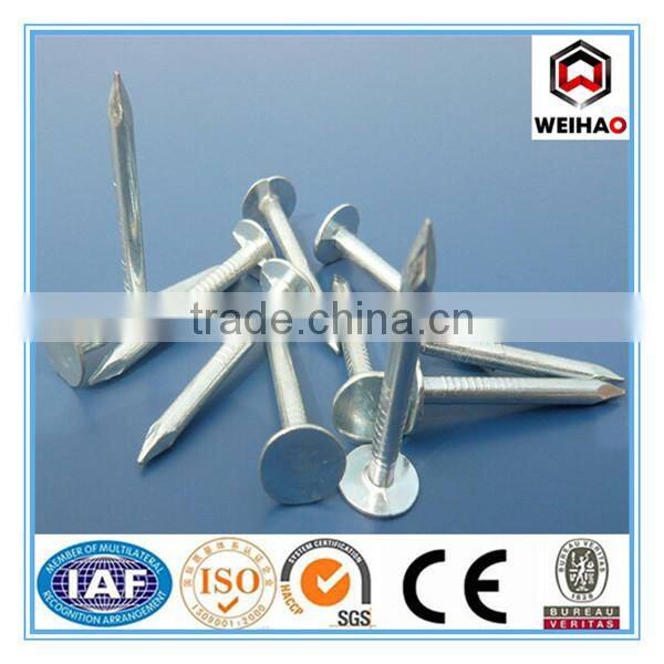 roofing nail with flat head