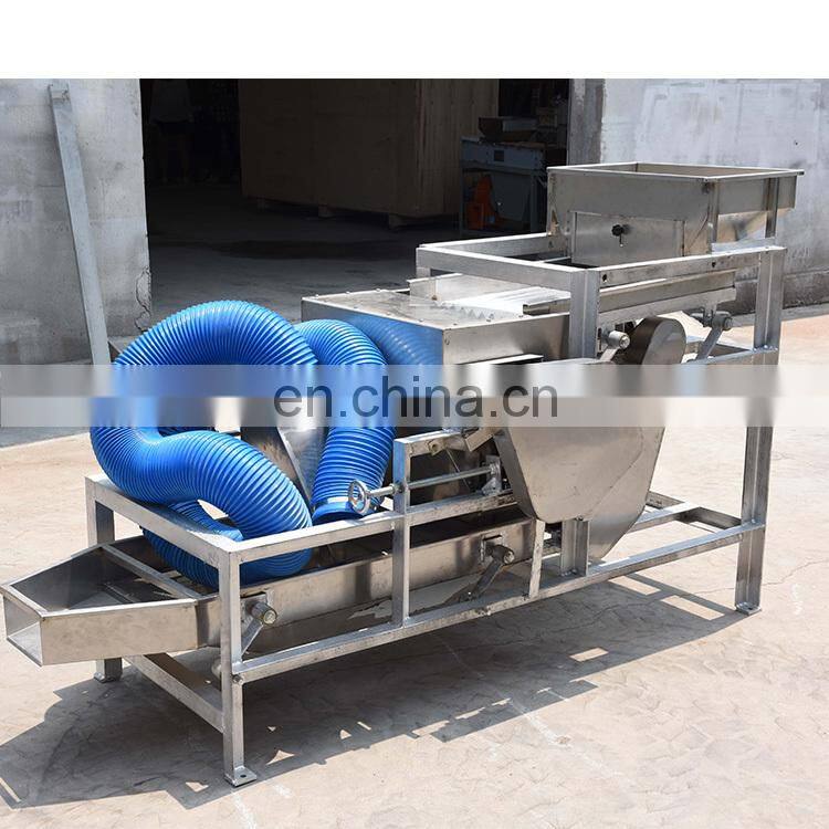 hazelnut chestnut shredder machine cashew nut shredding machine