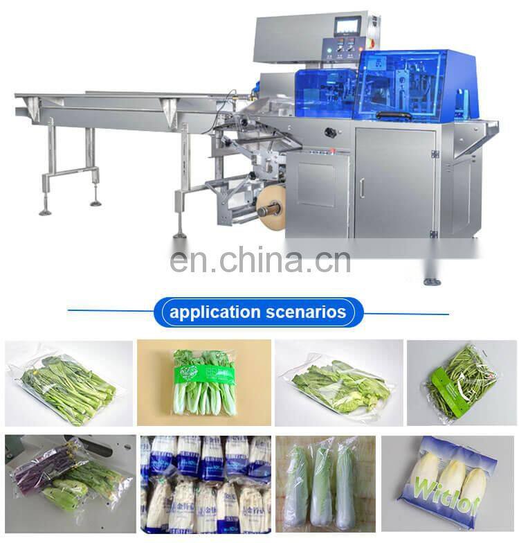Professional factory garlic bag packaging machine
