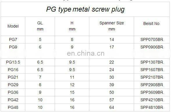 Nickel-plated brass PG29 Metal Blind Plug