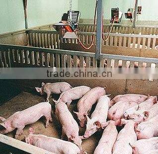 wall-mounted gas burner gas brooder for Incubator machine parts THD2606