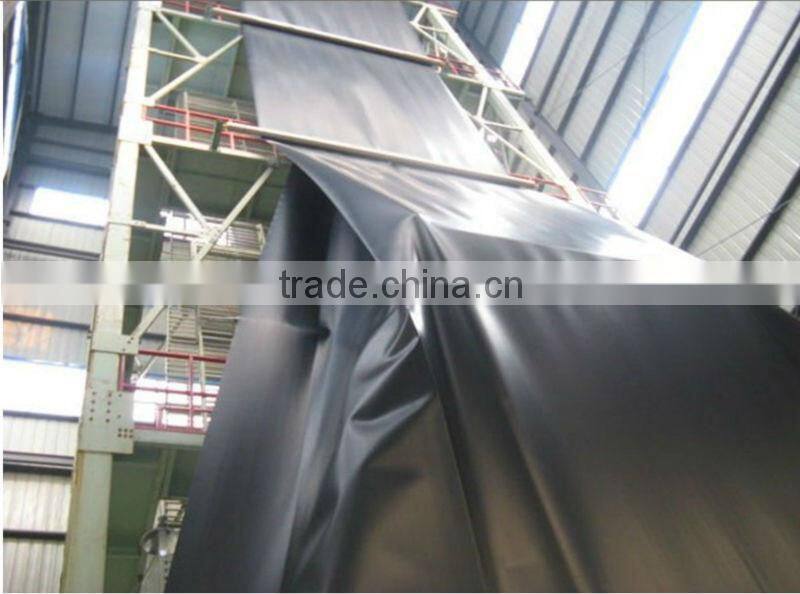 Waterproof Membrane/Geomembrane