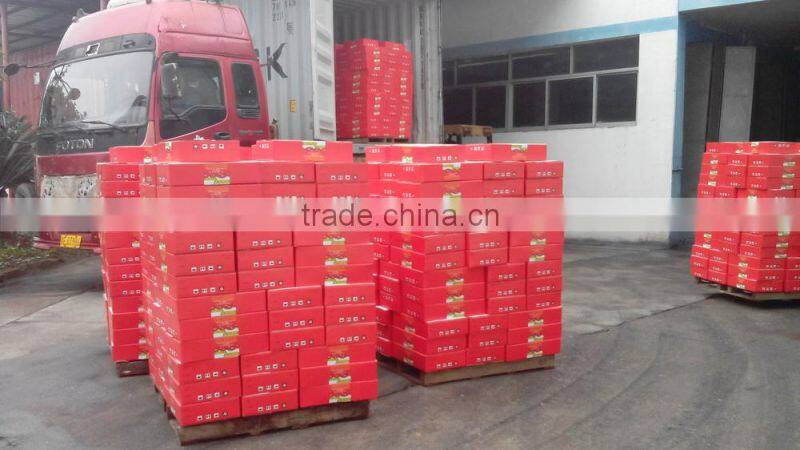 Solid Form and Sauce Product Type Canned Tomato paste 400g