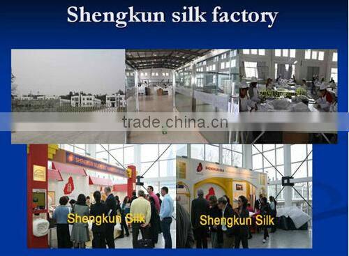 100% mulberry silk filling Cotton cover Pillows