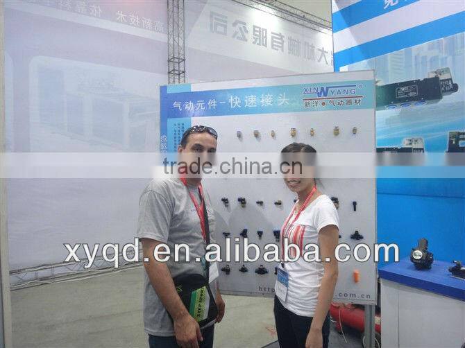 Check ball valve and Brass check ball valve