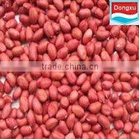 chinese peanut kernel