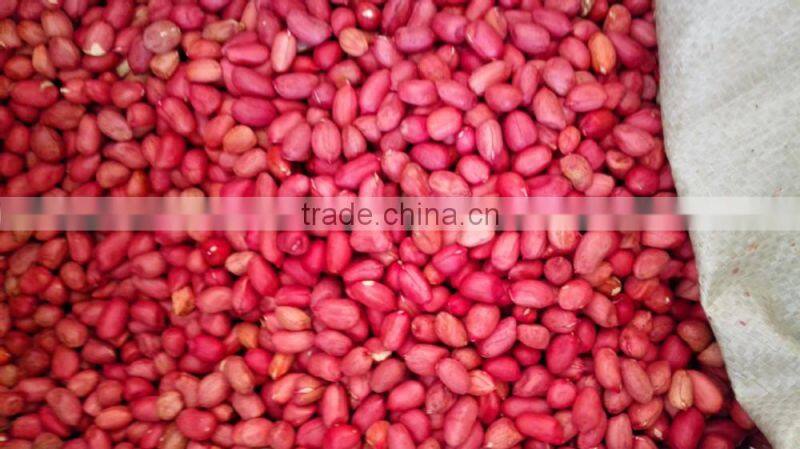 Four Red skin high quality peanuts from china