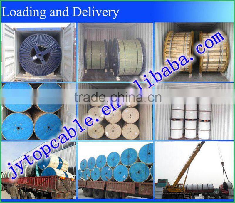 450/750V pvc insulsted screen control cable