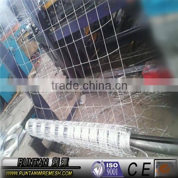 ISO9001 anping galvanized grassland fencing/cow fence/field fence /wire mesh cattle fence wildlife fence