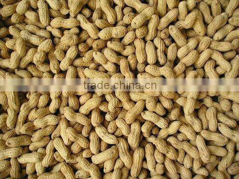 Washed Peanut in Shells 2012 crop