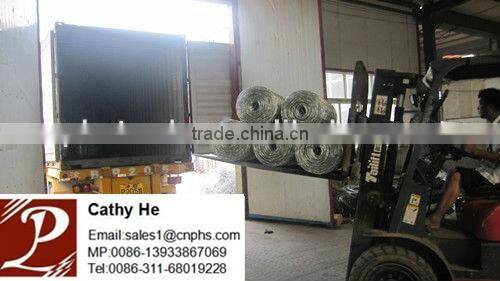 Hot dipped galvanized wire mesh fence/ boundary fencing