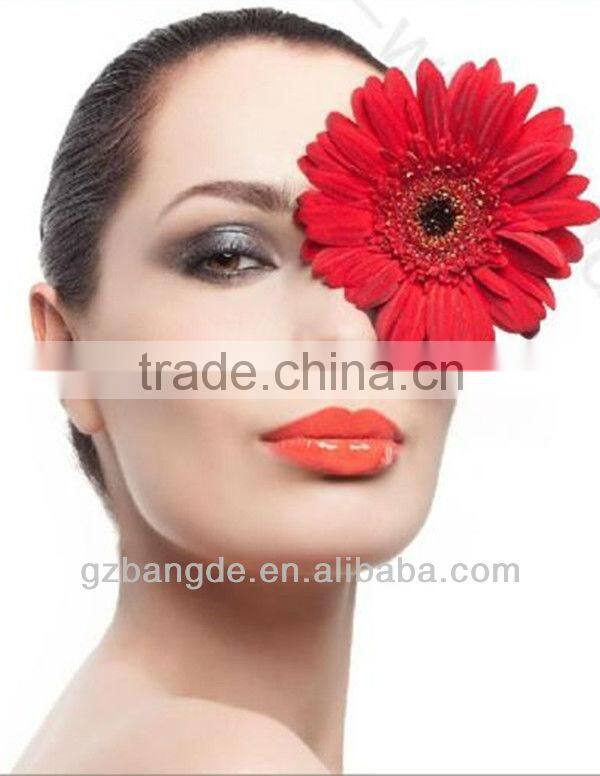 Boxy BIO skin lifting machine with Wrinkle-dispelling Sticks BD-P026