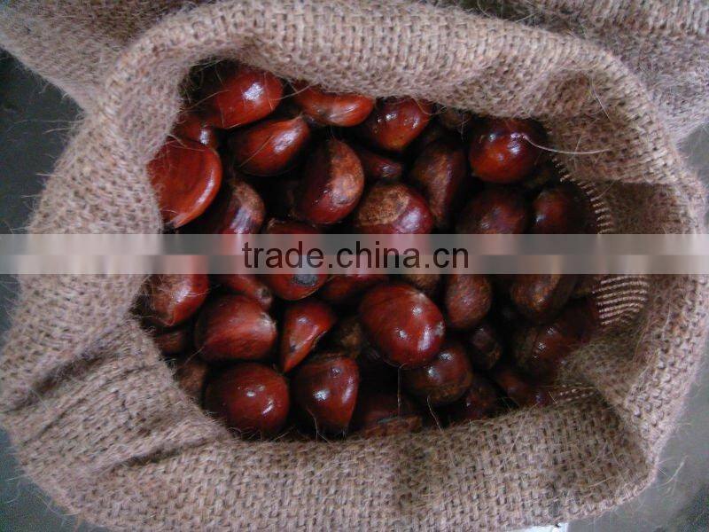 Sweet Chestnut Wholesales Price Shandong Crop and Dandong Crop