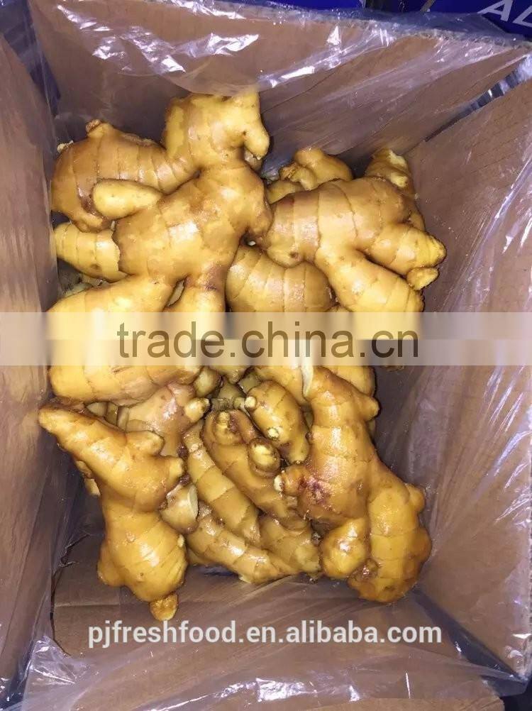 Specification fresh ginger/specification dry ginger