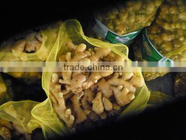 fresh yellow Ginger,thin ginger