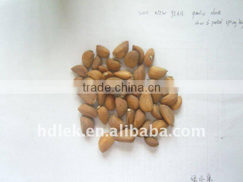 dehydrated garlic clove