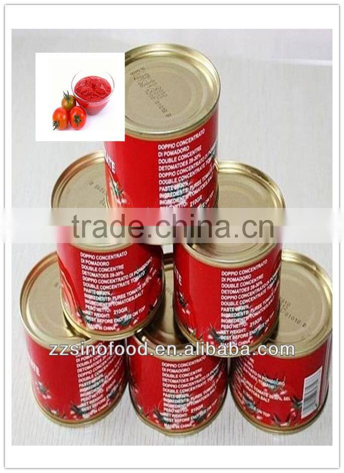 fresh tomato paste canned with very fair price