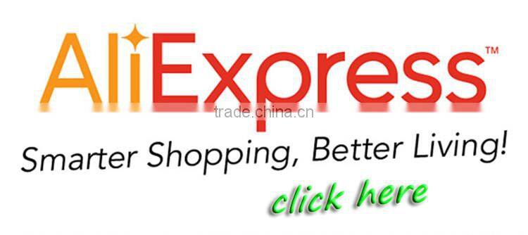 Lower price inflatable dinosaur cartoon with LED