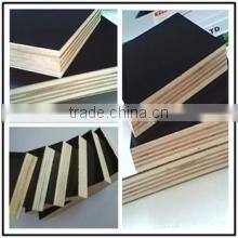 alibaba com plywood construction/ construstion plywod bintangor faced plywood door size