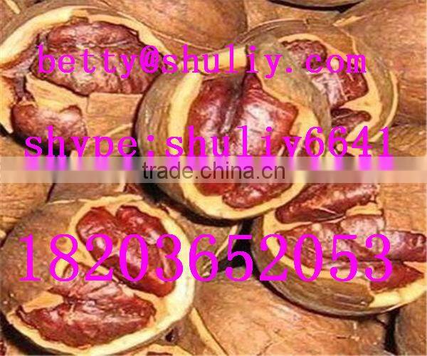 hydraulic coconut oil expeller/peanut oil extracting machine/olive oil press machine//0086-18203652053