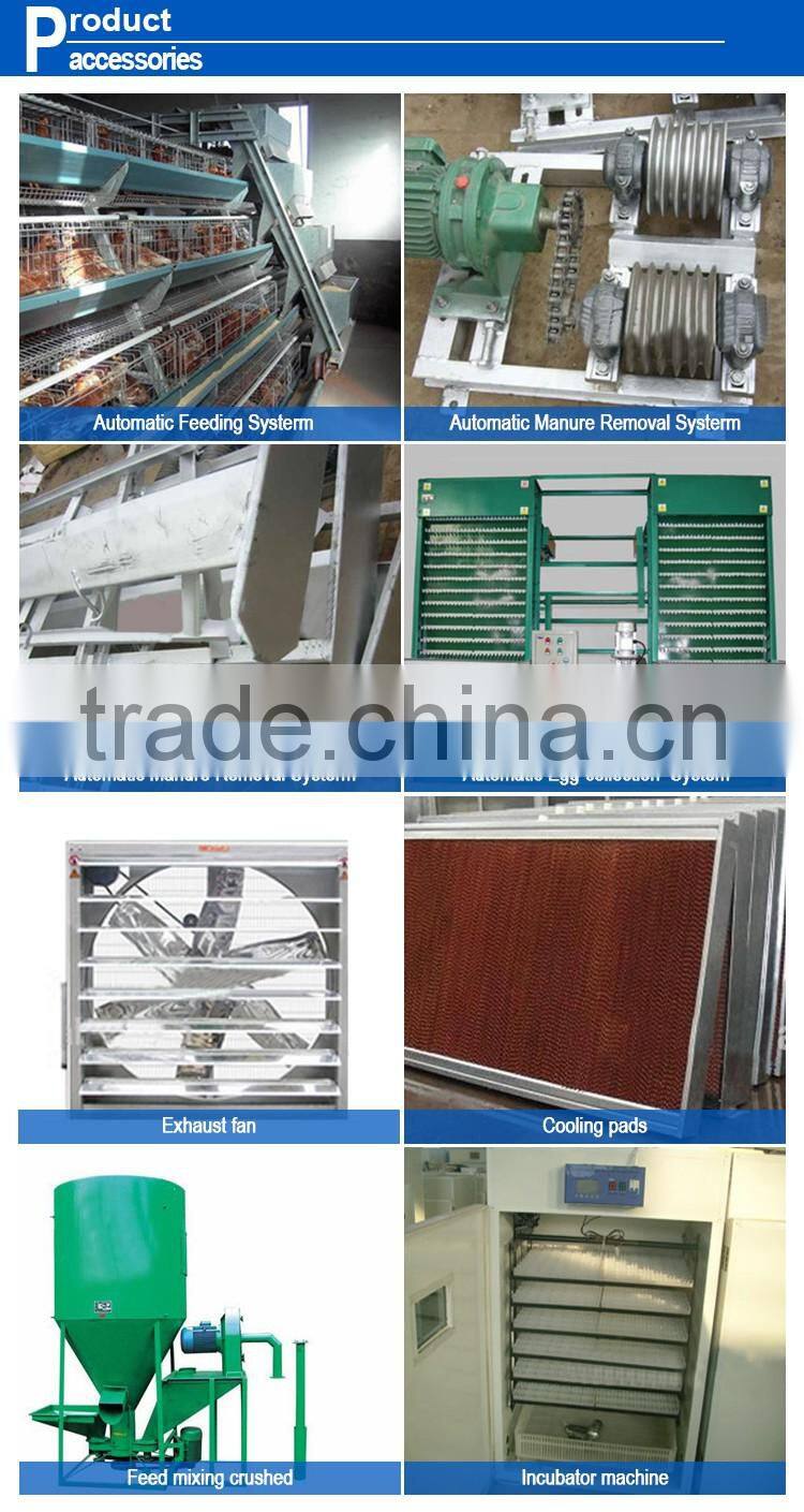 Hot sale 3 4 layer chicken cage egg chicken cage
