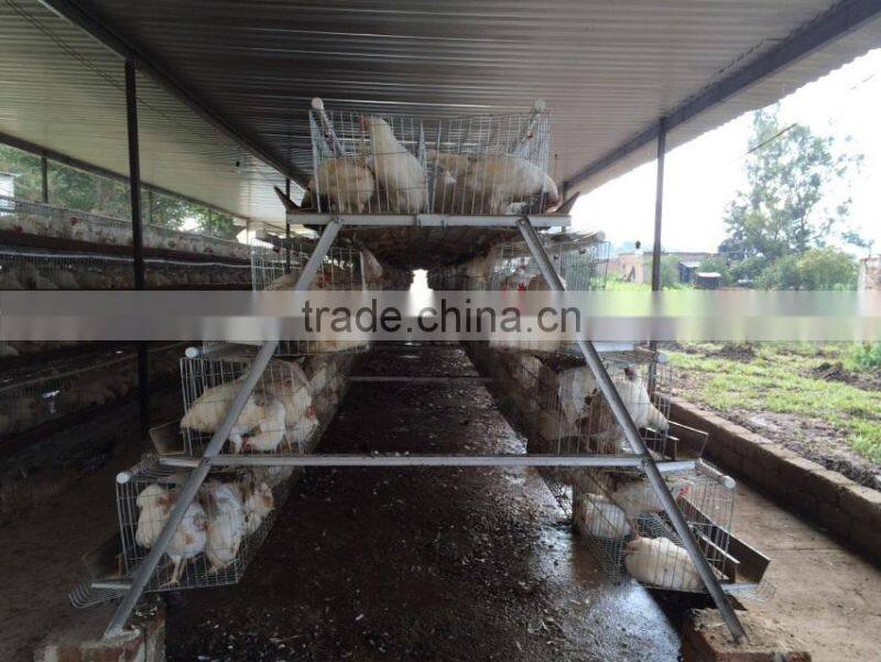 3 Tier Or 4 Layer Chicken Cages/Egg Laying Hen Cage/Battery Cage