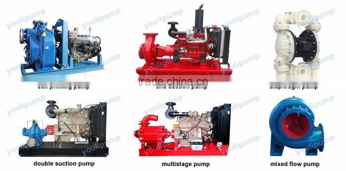 Cast Iron Diesel Engine Water Fire Fighting Pumps